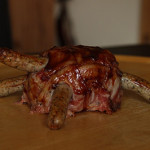 Bacon Turtle