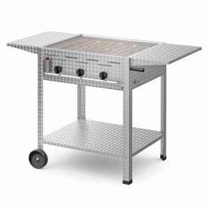 Gastrogrill-Set: Profi 301