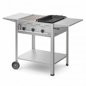 Gastrogrill-Set: Profi 302