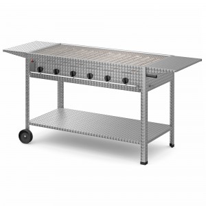 Gastrogrill-Set: Profi 601