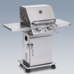 Design-Gasgrill »Bearfoot 2«