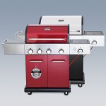 Design-Gasgrill »Paisley« in 2 Farben