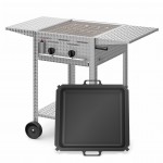 Gastrogrill-Set: Profi 202