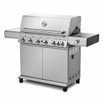 Design-Gasgrill Magnity XL