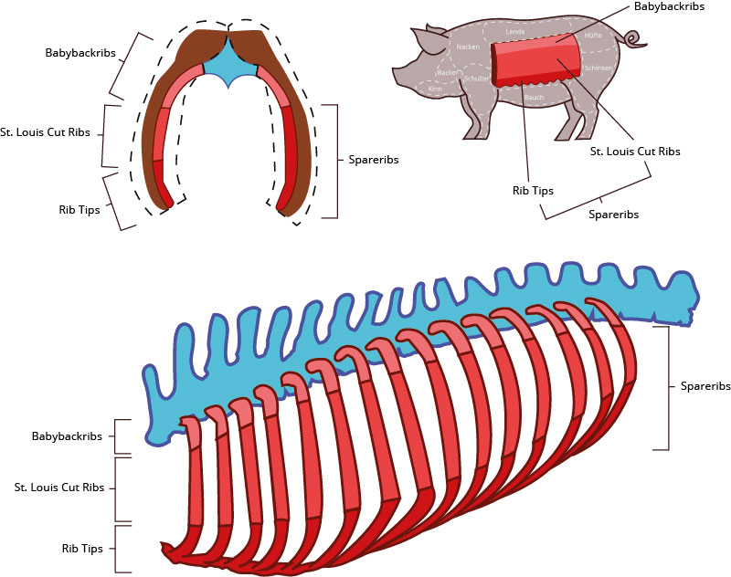 Spareribs und von welchem Teil des Schweins sie stammen